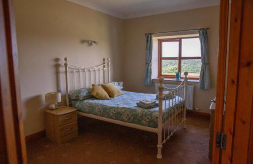 Aberystwyth Dinas Cottage - Foto 30