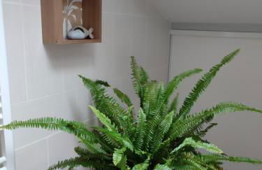 Location de charme T3 au 2e étage et dernier étage - Foto 41