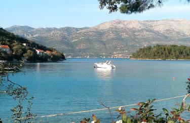 Apartments Milea - Foto 4