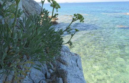 Spacious Villa close to an amazing Sithonia beach - Foto 69