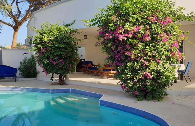 Amour Sénégal - Foto 28