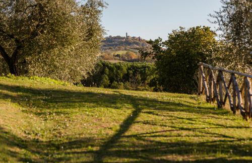 Agriturismo Le Cerque - Photo 26