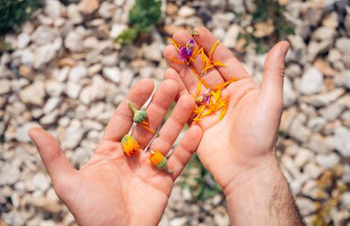 Milea Agritourism - Foto 71