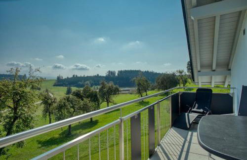 Haus am See - Ferienwohnungen - Foto 40