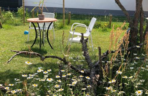 Haus Waldeck - Foto 51