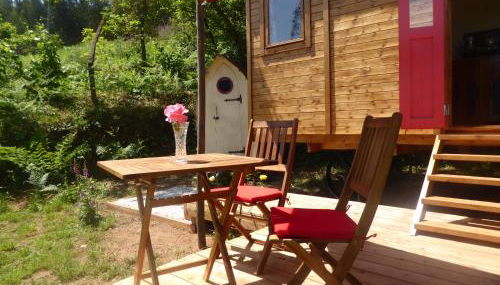 Rosa the Cosy Cabin - Gypsy Wagon - Shepherds Hut, RIVER VIEWS Off-grid eco living - Foto 5
