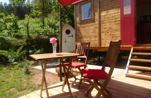 Rosa the Cosy Cabin - Gypsy Wagon - Shepherds Hut, RIVER VIEWS Off-grid eco living - Foto 5
