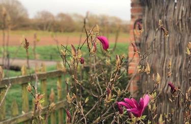 Lincoln Holiday Retreat Cottage with Private Hot Tub - Foto 60