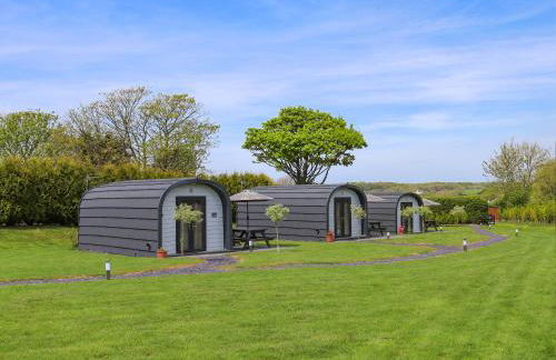 Cuddfan - Uk49673 - Foto 13