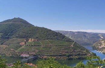 Casa do Jornaleiro - Douro - Foto 39