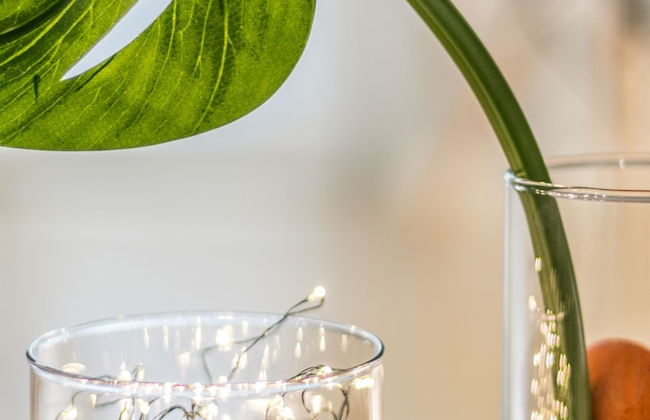 Family Apartments Verdi - Foto 31