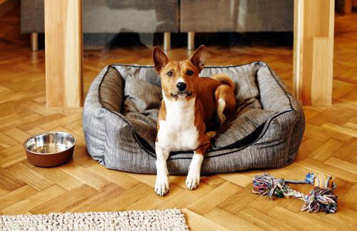 SleepWell Apartments Ordynacka - Foto 74