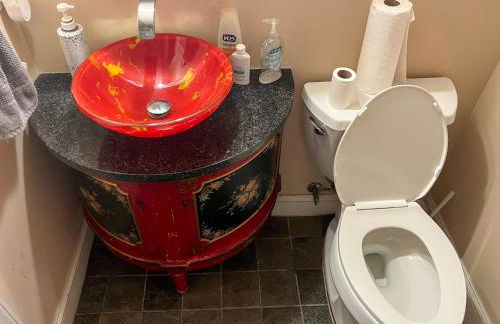 Charming 1-bedroom Basement Close to DC Pets Allowed - Photo 11