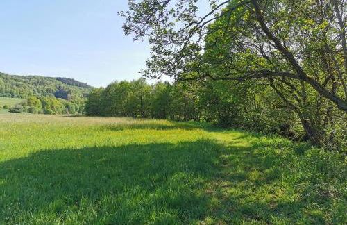 Die Ferienwohnungen Schmiede und Gudd Stuvv in Annis Haus - Foto 10