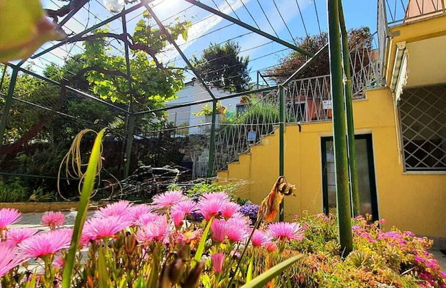 Villa Mimosa - Photo 18