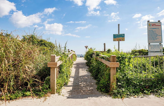 Jade Tree Cove - Foto 48