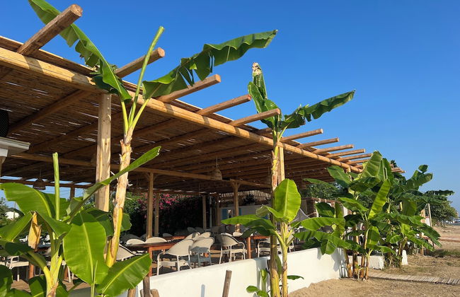 Erosea Beach Resort - Photo 21