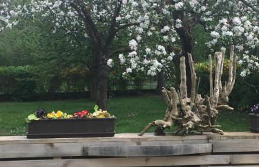 Les Hirondelles - Foto 10