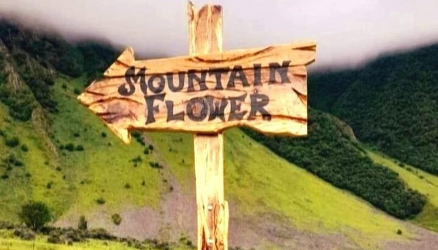 Mountain Flower cottage - Photo 5, Chambre