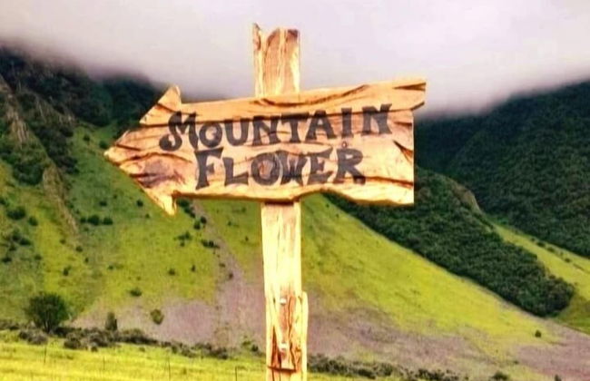 Mountain Flower cottage - Foto 6