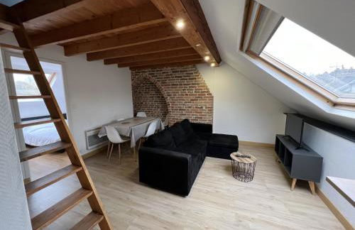 Amiens, sous les toits 4-6 pers - Foto 1