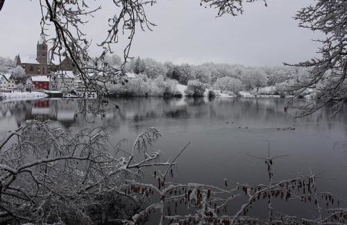 Ritterstube - Eifelstuben mit Charme, Nähe See und Burg, außergewöhnlich, Vulkaneifel - Photo 65