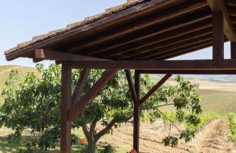 Tenuta dei Principi di Spadafora - Foto 7