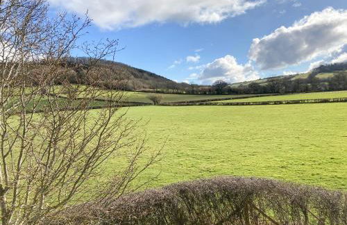 Swallow Lodge - Uk42540 - Photo 16