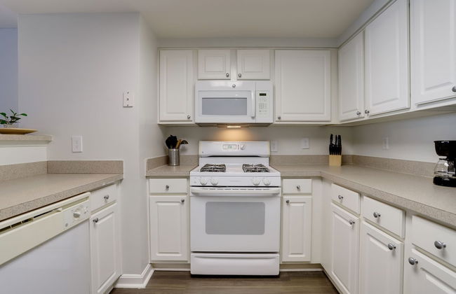 Fantastic 1 Bedroom Condo at Ballston - Foto 7
