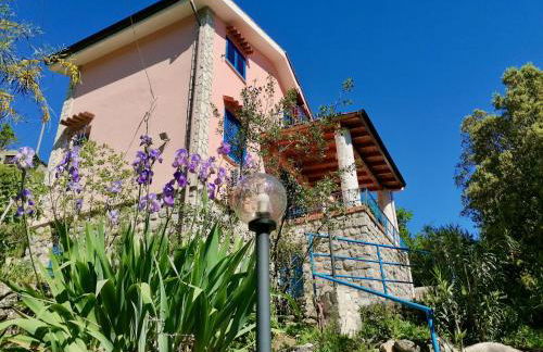 La Casa Nell Oliveto a San Martino - CM - Foto 40