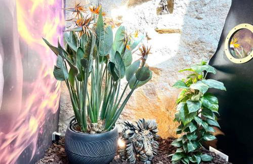 Le Jardin secret - Foto 26