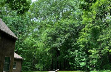 Nature's Nest - Woodland Retreat - Fireplace - Quiet and Cozy - Foto 22