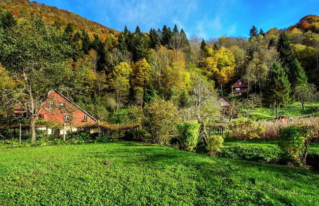 Serene Holiday Home in Dolus With Private Garden - Photo 25