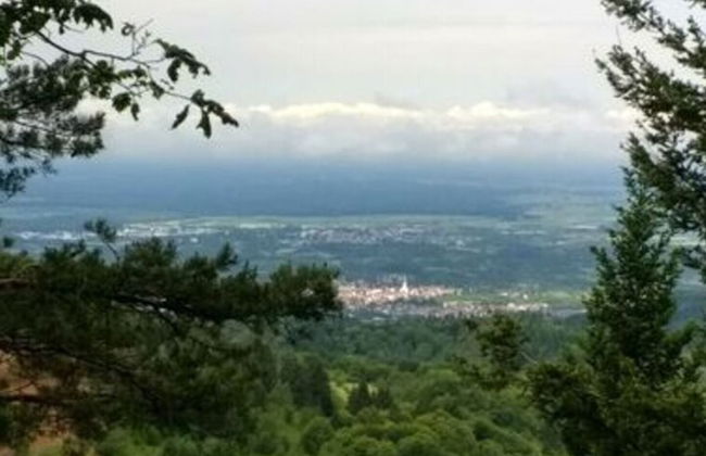 Holiday Apartment Ferienhof Benz - Foto 26