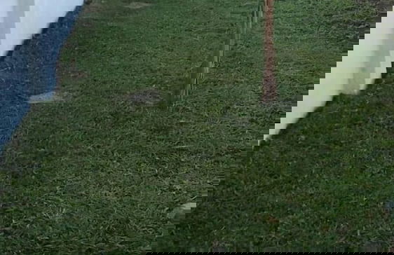 Luxury 3 Bedroom Self Catering Apartment- Masvingo - Foto 24