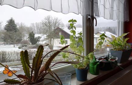 Ferienwohnung Rackl - Foto 12