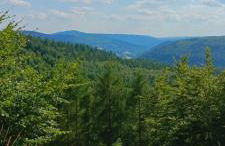 s' Kännele Ferienwohnungen - Foto 20