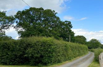 Holiday Home Ash Cottage by Interhome - Foto 90