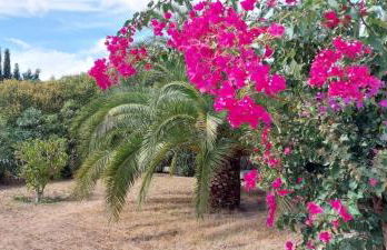 Casita Higo - Foto 28