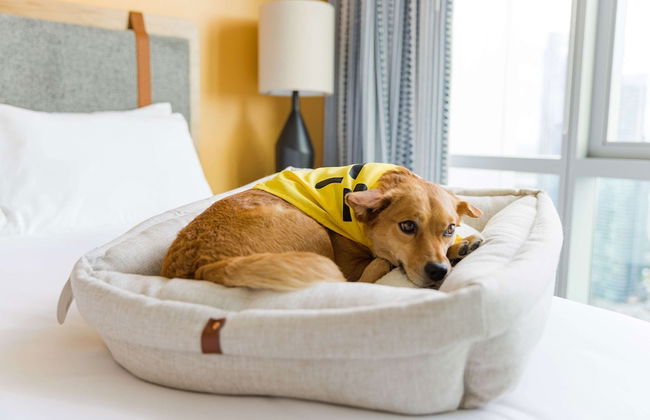 Sentral Old Town - Foto 9