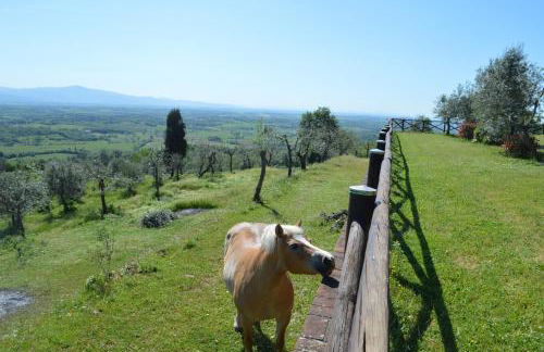 Holiday home in Arezzo - Toskana 39940 - Foto 28