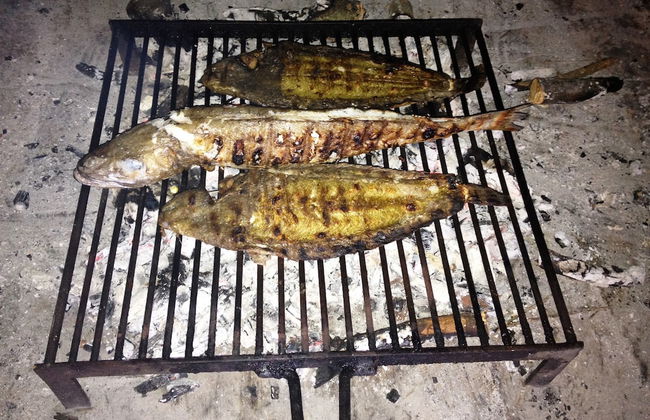 House Mladen - Foto 23