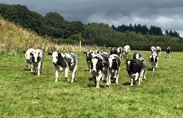 Lower Thornton Farm - Foto 61