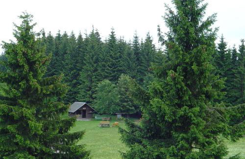 Apartments und Bistro Zum Glasmacher - Foto 80