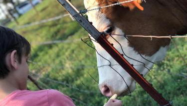 The Varnadoe Villa- Farm Stay - Foto 4