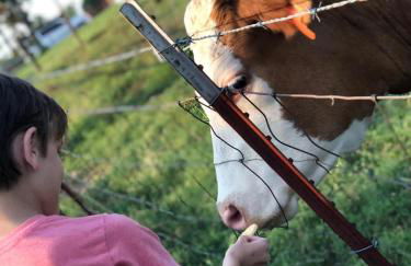 The Varnadoe Villa- Farm Stay - Foto 4