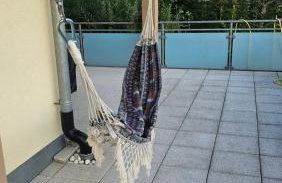 Eichhörnchen-Haus Körner im Schwarzwald - Foto 21