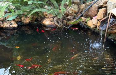 House of sunset 3 - Photo 27