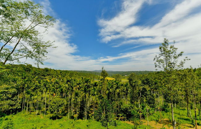 OYO 24016 Home Valley View 2BHK Sulthan Bathery - Foto 47