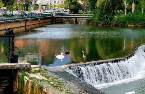 Casa Lerryn - Foto 67